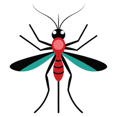 Infectious Anopheles mosquito graphic vector on white background