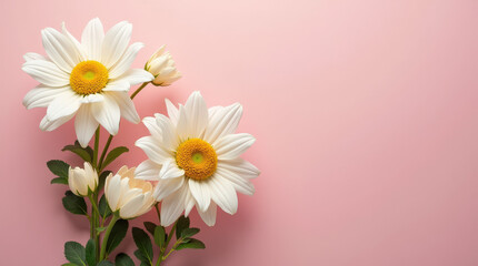 Elegant Floral Background with Vibrant Flowers and Solid Background for Product Advertisement and Branding