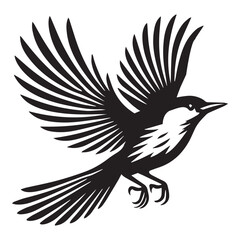 Obraz premium Clarks nutcracker Bird illustration in black and white - Clarks nutcracker Silhouette Design 