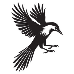 Obraz premium Clarks nutcracker Bird illustration in black and white - Clarks nutcracker Silhouette Design 