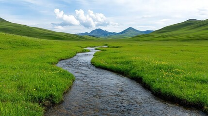 Small creek running through a meadow filled with wildflowers and grasses, meadow creek, pastoral beauty