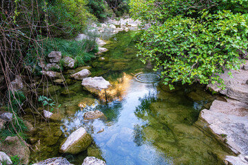 Un arroyo cristalino rodeado de vegetación exuberante y rocas, reflejando el cielo y los árboles. Un entorno natural y sereno ideal para relajarse y disfrutar de la naturaleza. Río Borosa, Jaén