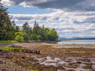 Beauly Firth on a Sunny Afternoon