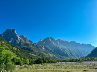 Fototapeta premium Alpine meadow surrounded by majestic mountain massif Kolata, Albanian Alps (Accursed Mountains), Valbone Valley National Park, Northern Albania. Wanderlust alpine wilderness. Pine tree conifer forest