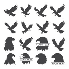 Flying eagle Vector design for t-shirts, logos, prints, Eagle Silhouette Illustration