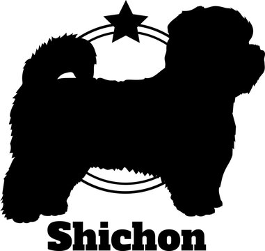 Shichon dog silhouette,  dog, dog breeds, logo, vector, silhouette, logo design, animal, illustration, icon, sign, design, black,  symbol, pet