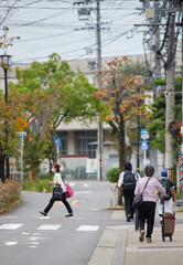 Obraz premium 秋の昼の住宅地の道路で歩くシニア女性と人々の姿