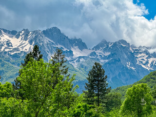 Pine tree forest framing snow capped mountain peaks of massif Zhaborret, Albanian Alps (Accursed...