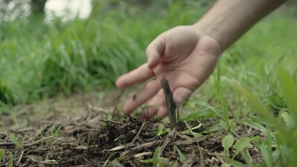 Farmer's hand examining soil