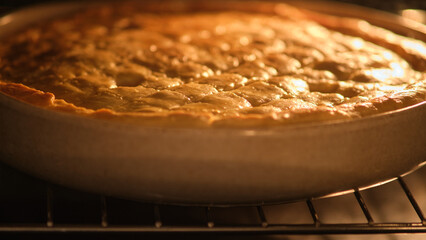Golden pie baking in an oven in a ceramic dish. Close-up shot of homemade pastry cooking © Андрей Журавлев
