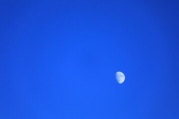 青空に映える月
