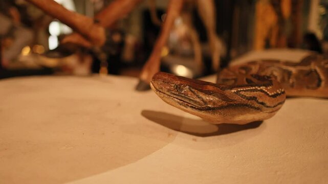 Python Taxidermy at Scottish Museum