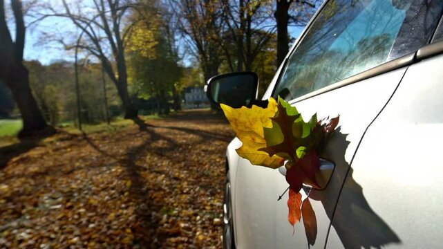Bunte Bl&auml;tter stecken im T&uuml;rgriff einer Autot&uuml;r - Auto im Herbst; Herbstwetter
