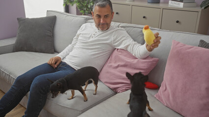 Middle-aged hispanic man plays with two chihuahuas indoors in a living room, engaging in a playful moment on a cozy sofa.