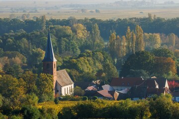 Forst an der Weinstraße im Herbst