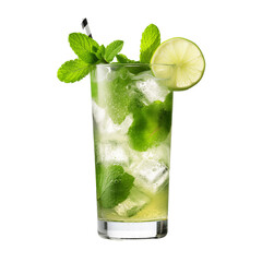 mojito cocktail with mint