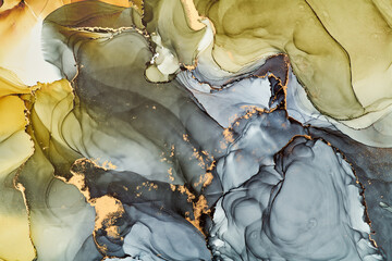 Obraz premium Soft waves of translucent color meet shimmering gold accents in abstract art, fluid shapes create a dynamic landscape. The liquid ink technique create depth and movement, both spontaneous and refined