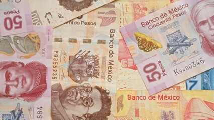 Mexican pesos banknotes of various denominations spread out in a detailed and colorful layout, showcasing currency designs from banco de mÃ©xico.