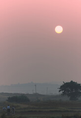 Farmer in the foggy filed in India during harvest season