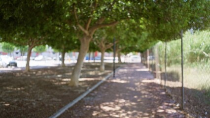 Blurred outdoor scene with defocused background showing trees lining a path under sunlight for a natural bokeh effect