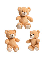 Obraz premium teddy bear isolated on white