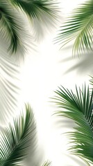Lush green palm leaves casting shadows against a light background in a serene indoor setting