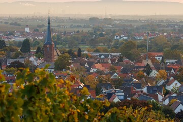 Deidesheim an der Weinstraße
