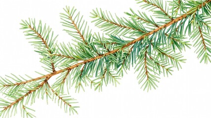 Obraz premium A detailed view of a fresh evergreen branch with vibrant green needles, capturing the beauty of nature