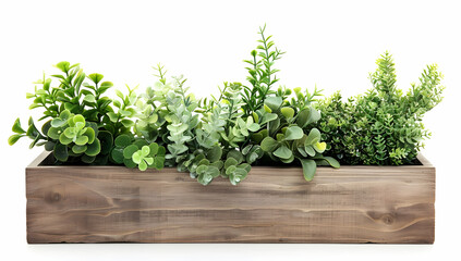 Fototapeta premium wooden planter box with various green plants, isolated on a white background