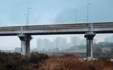 bridge over the river in fog
