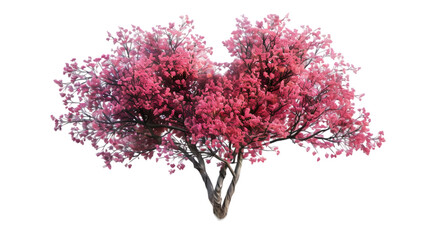 Fototapeta premium heart tree png