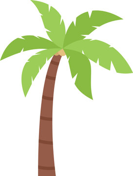 Cartoon coconut palm tree standing alone against a white background