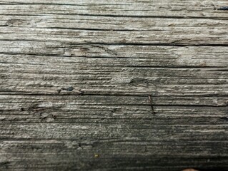 The structure of an old blackened tree. Background from old wood.