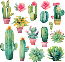 set of cactus plants