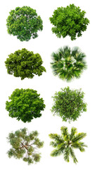 Obraz premium PNG top view of tree design element set, transparent background