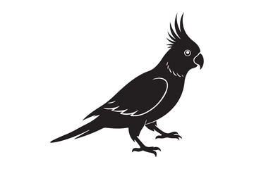 Cockatiel  silhouette vector illustration, Cockatiel  silhouette 