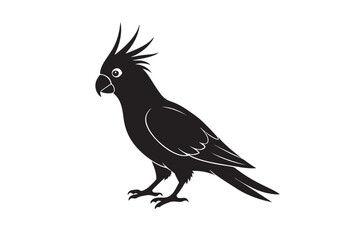 Fototapeta premium Cockatiel silhouette vector illustration, Cockatiel silhouette 