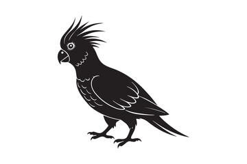 Cockatiel  silhouette vector illustration, Cockatiel  silhouette 