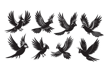 Obraz premium Cockatiel silhouette vector illustration, Cockatiel silhouette bundle 