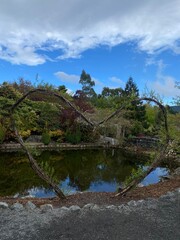 Obraz premium Beautiful natural views at the pond in the garden amount the trees with blue sky clouds 