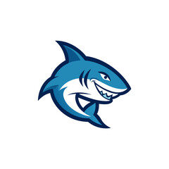 shark isolated on white background