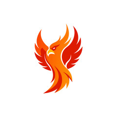 illustration of a fiery bird