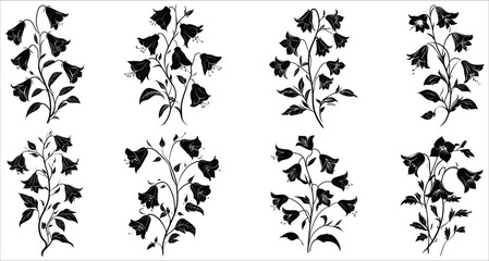 Beautiful bellflower silhouettes vector. Bellflower silhouettes for elegant designs. Set of decorative bellflower silhouettes. Vector illustrations of bellflower. Black silhouettes of bellflower