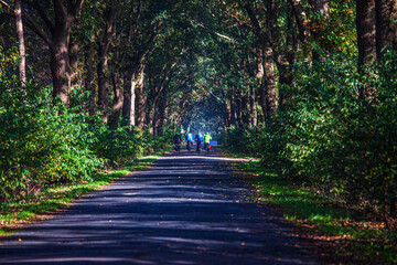 Fototapeta premium Play of colors in autumn