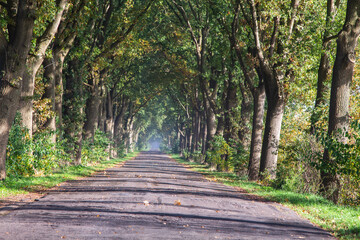 Obraz premium Colors of nature