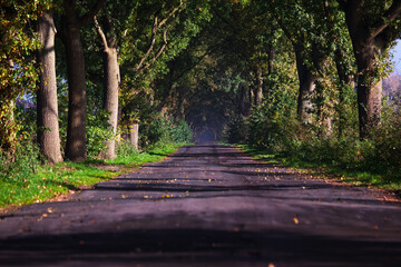 On a road in the moor, in B&ouml;sel, Germany