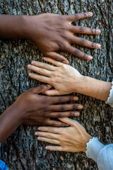 Hands of mixed-raced couple on a tree