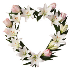 Obraz premium PNG Flower plant lily inflorescence.