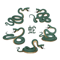 Obraz premium Snake illustration. Tattoo elements of snake skin. Vector illustration sketch of a traditional Chinese mythical animal. Green snake