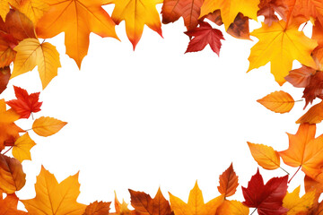 Fototapeta premium PNG Frame Of Autumn Leaves backgrounds autumn leaves.